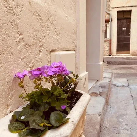度假居 Charmante Petite Maison